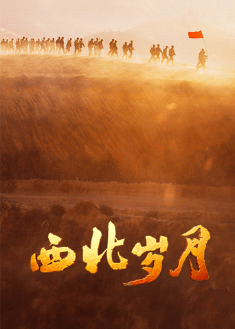西北岁月封面图