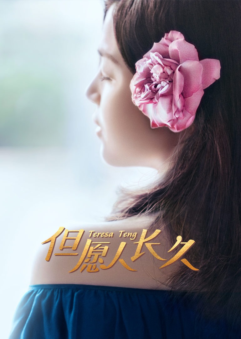 但愿人长久封面图