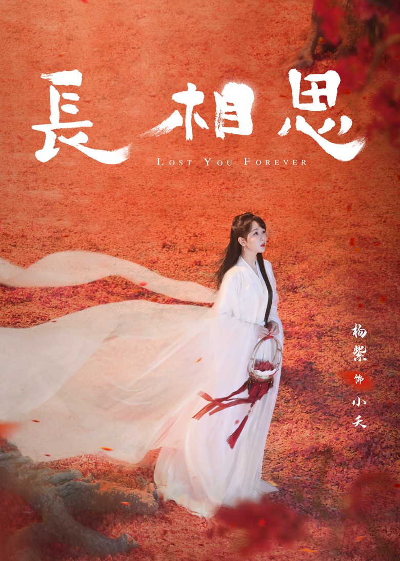 长相思全季封面图