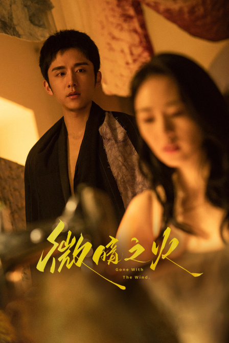 微暗之火T第五季版封面图