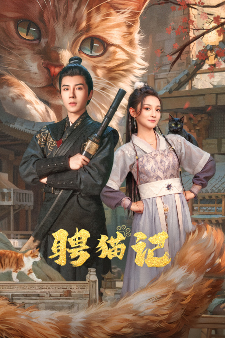 聘猫记封面图