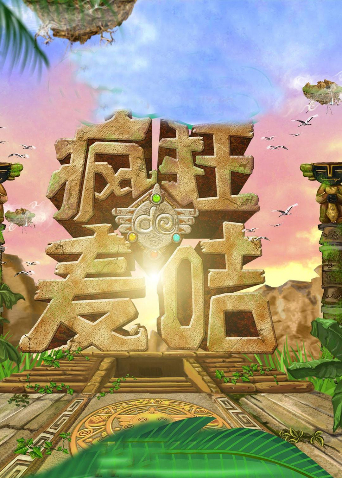 疯狂的麦咭封面图