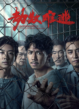 劫数难逃粤语版封面图