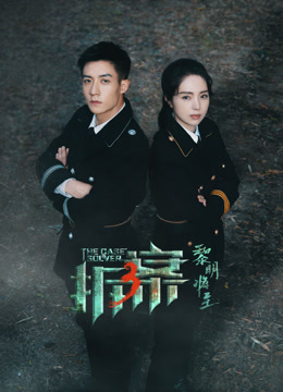 拆案黎明将至封面图