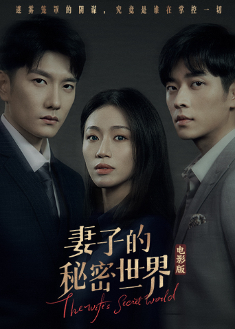 妻子的秘密世界电影版封面图