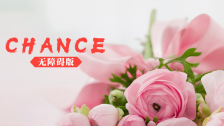 CHANCE无障碍版封面图