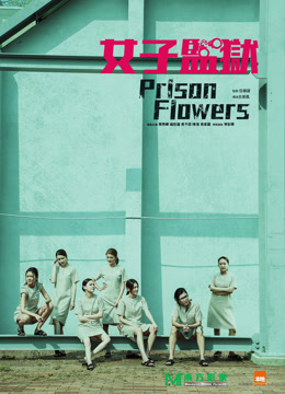 女囚风暴1995粤语版封面图
