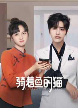 骑着鱼的猫封面图