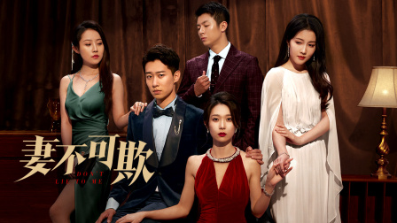 妻不可欺封面图