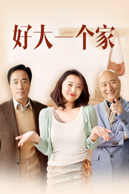 好大一个家封面图