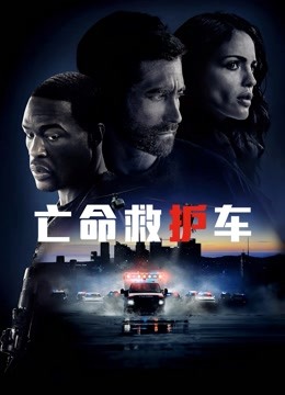 亡命救护车普通话版封面图