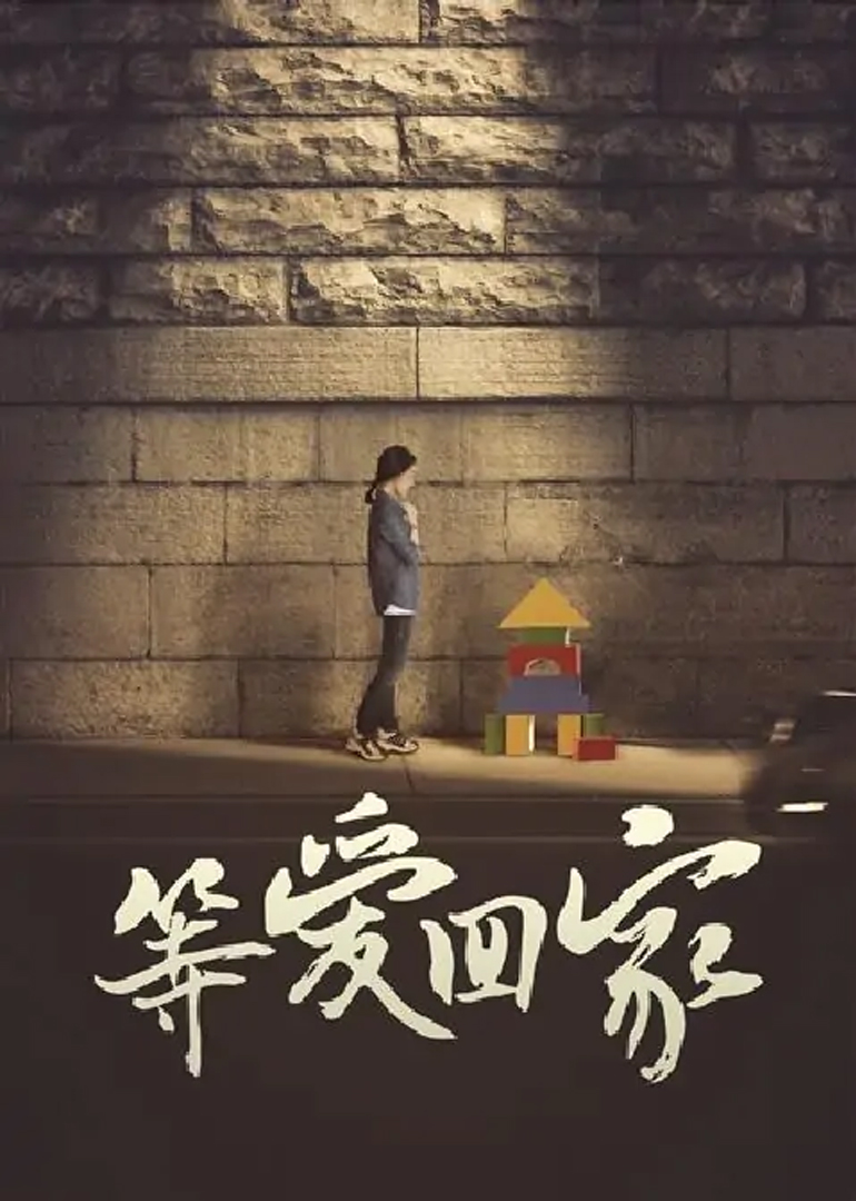 等爱回家封面图