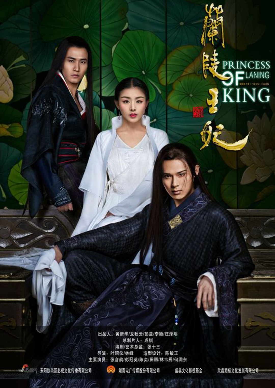 兰陵王妃D第五季D版封面图