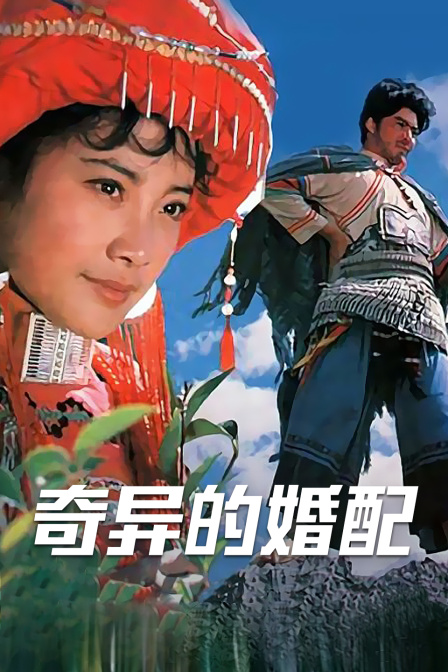 奇异的婚配封面图