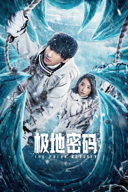 极地密码封面图