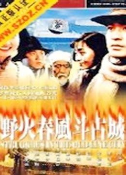 野火春风斗古城封面图