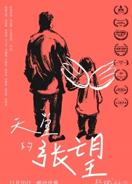 天堂的张望封面图