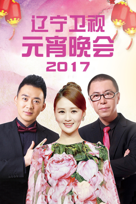 辽宁卫视元宵晚会2017封面图