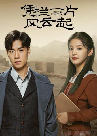 凭栏一片风云起封面图