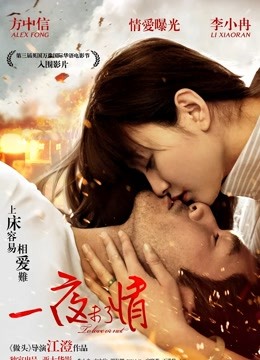 一夜未了情封面图