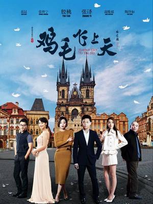 鸡毛飞上天封面图
