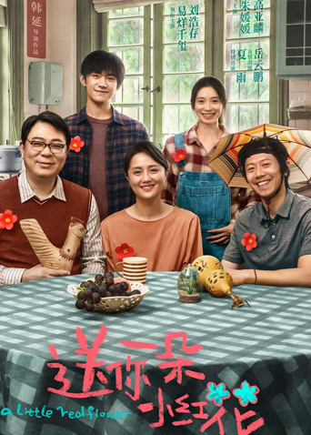 送你一朵小红花纪录片封面图