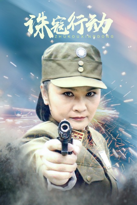 诛寇行动封面图