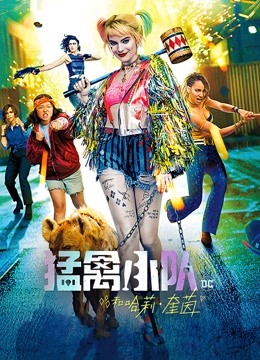 猛禽小队和哈莉奎茵封面图