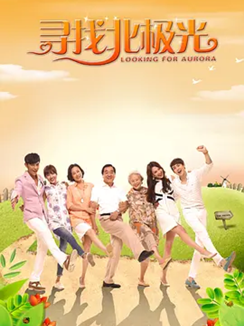 寻找北极光封面图