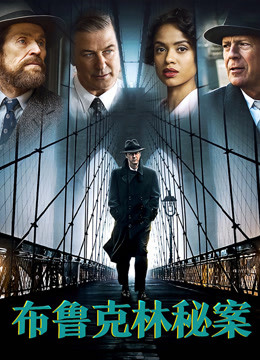 布鲁克林秘案封面图