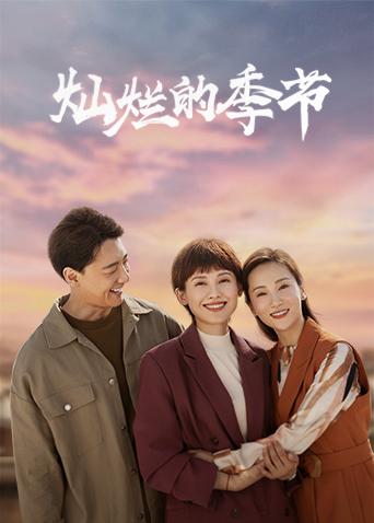 灿烂的季节封面图