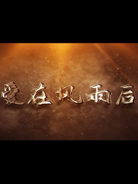 爱在风雨后封面图