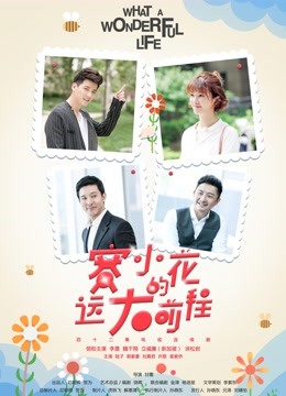 赛小花的远大前程封面图