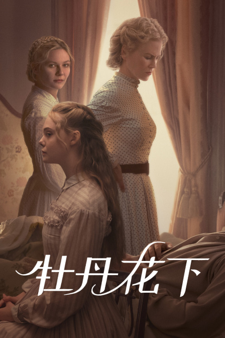 牡丹花下封面图