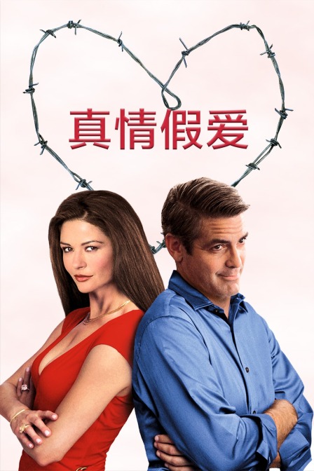 真情假爱封面图