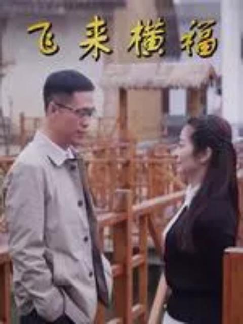 飞来横福封面图