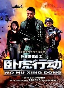 卧虎行动封面图