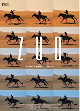 草原上的男孩封面图