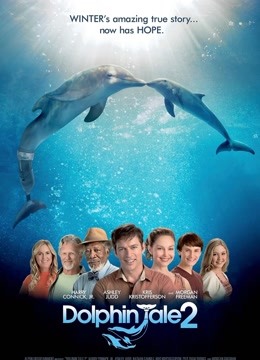 海豚的故事2封面图