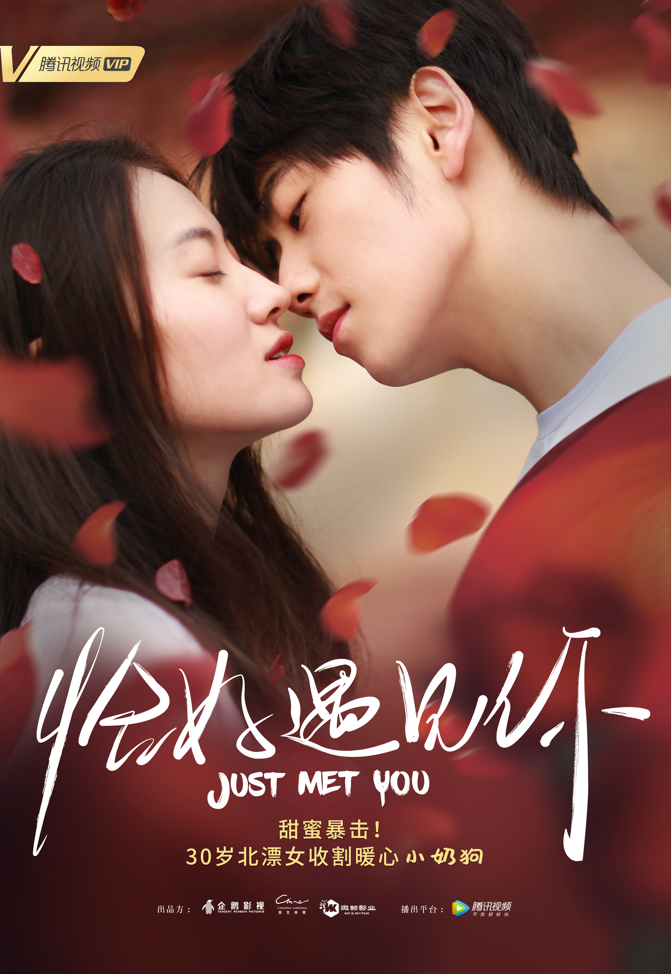 恰好遇见你封面图