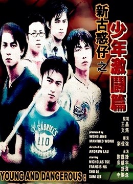 新古惑仔之少年激斗篇封面图