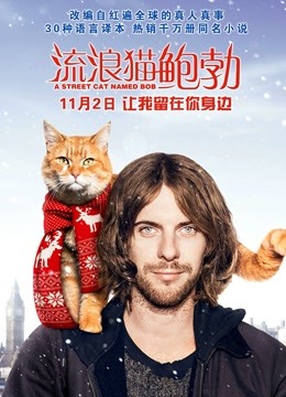 流浪猫鲍勃封面图
