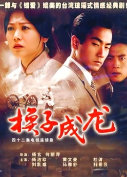 换子成龙封面图