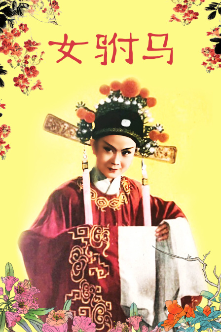 女驸马封面图