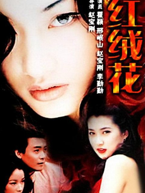 红绒花封面图