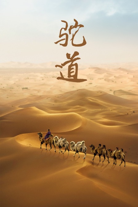 驼道封面图