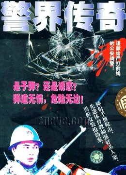 警界传奇封面图