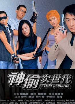 神偷次世代封面图