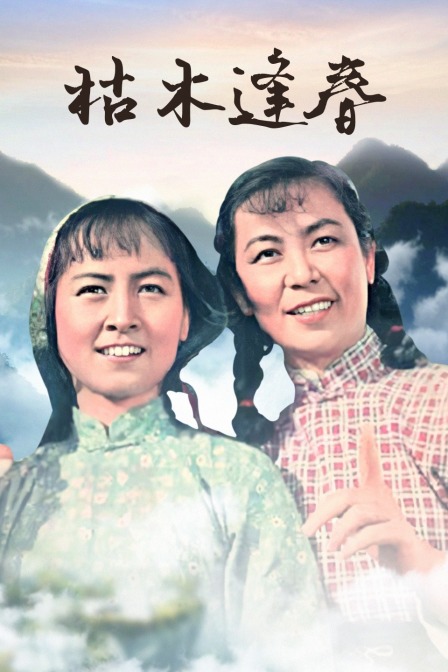 枯木逢春封面图