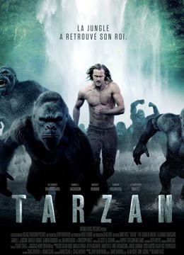 泰山归来险战丛林封面图